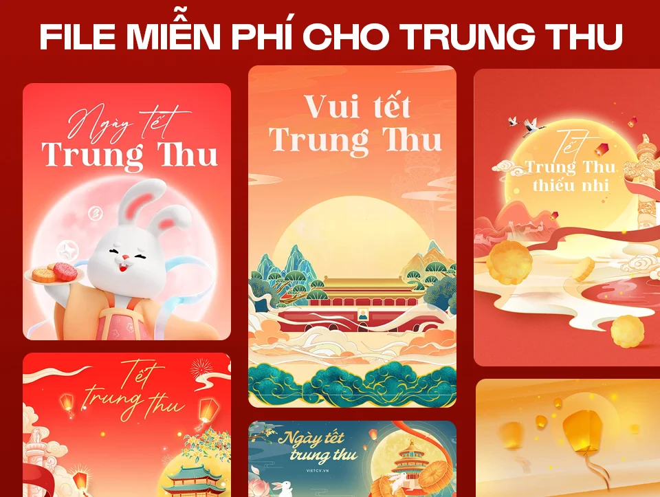 Portfolio của TRAN DUC CORPORATION