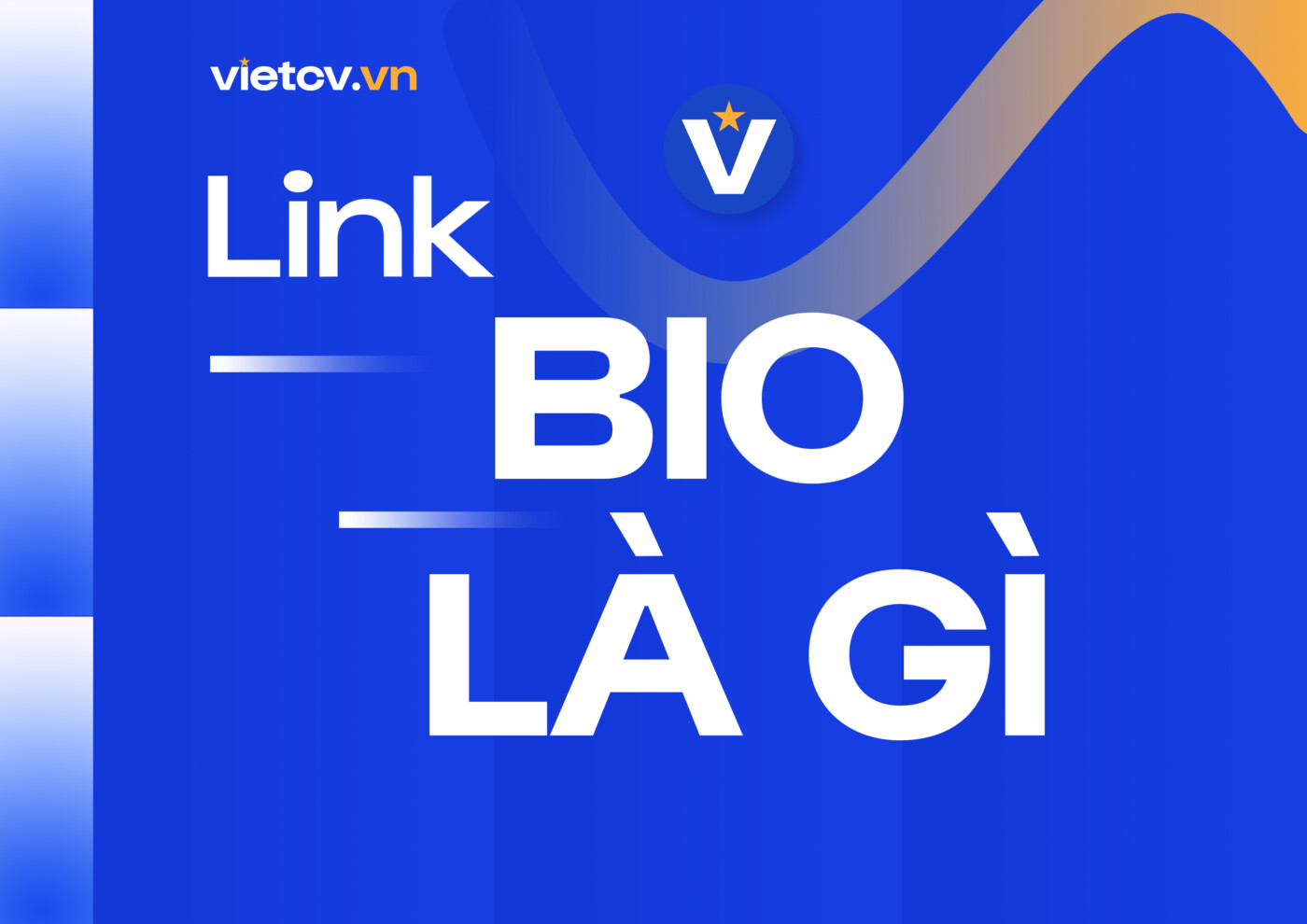 Bio Là Gì? Link Bio Là Gì? Tạo Link Bio Miễn Phí với VietCV.vn